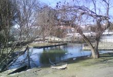 Parque de los Patos景点图片
