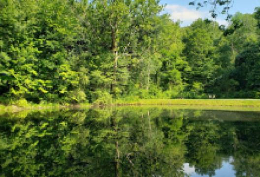 Holmesbrook Park景点图片