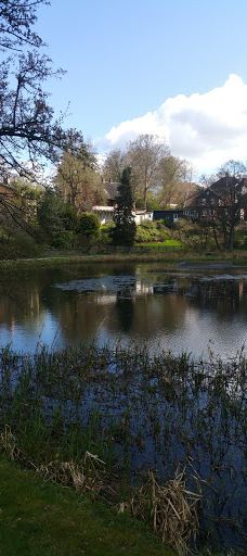 Tyrelodspynten-瓦埃勒