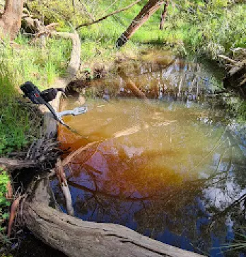 Ararat Hills Regional Park