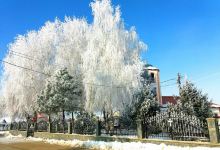Church of Saint Nicholas景点图片