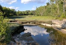 Carter Nature Preserve - Blue Hill Heritage Trust景点图片
