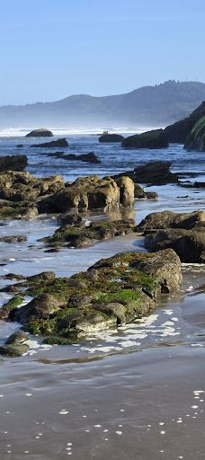 Oregon Coast Beach-纽波特