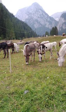 Biglietteria Padon-贝鲁诺省