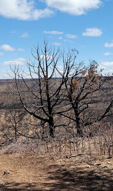 Le Fevre Overlook-科科尼诺县