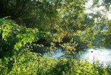 Biserica Acoperământul Maicii Domnului景点图片