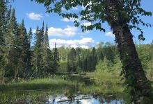 Suomi Hills景点图片