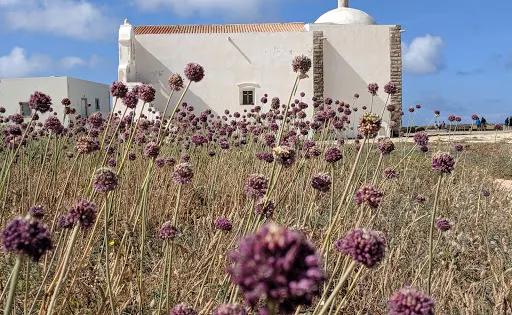 Igreja de Nossa Senhora da Graca