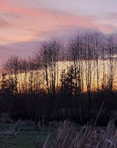Talking Water Gardens-奥尔巴尼