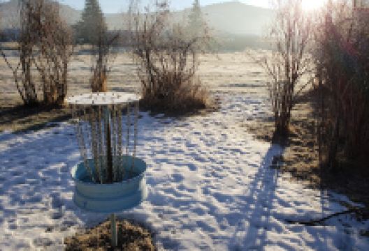 Lakeview Disc Golf Course at Soroptimist Fitness Park景点图片