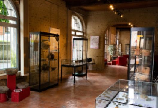 Musée de Lescar景点图片