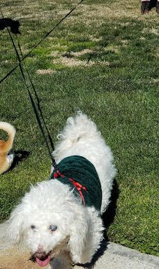 Forest E. Hull Park-兰开斯特