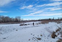 Diamond Valley Offleash Park景点图片