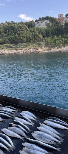 Leucate Evasion Marine-勒卡特