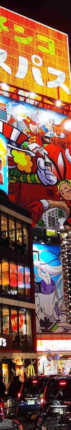 新宿区-东京-自挂大锦鲤