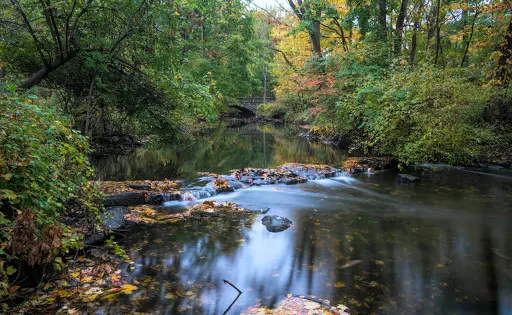 Rye Nature Center