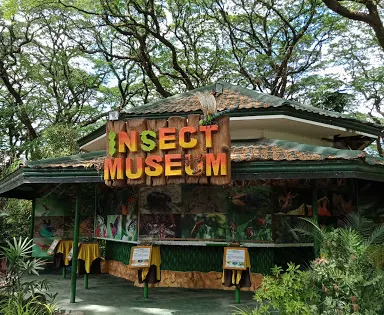 Insectlandia