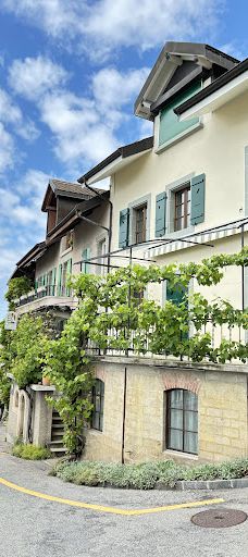 Terrasses viticoles de Lavaux-Lavaux-Oron District