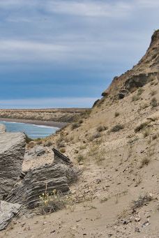 Caleta Valdés-别德马