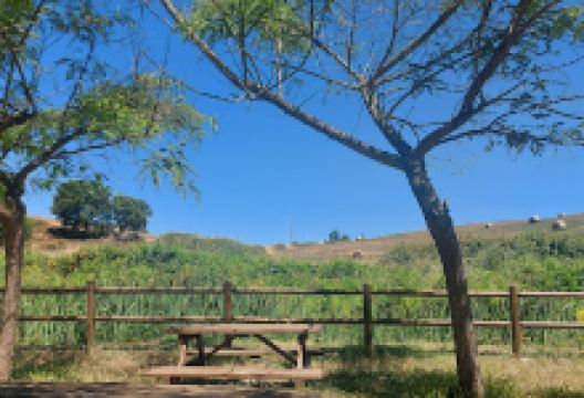 Ermida de Nossa Senhora da Bica / Capela da Bica Santa景点图片