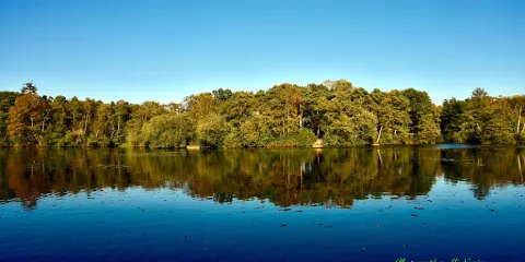 Taverham Mill Nature Reserve and Fishery