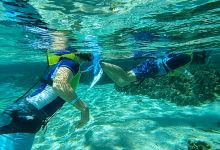 French Cay Marine Park景点图片