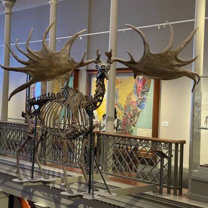 澳大利亚悉尼+蓝山国家公园+悉尼歌剧院6日4晚私家团