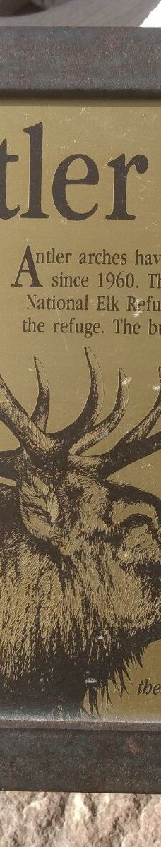 杰克逊鹿角公园-杰克逊