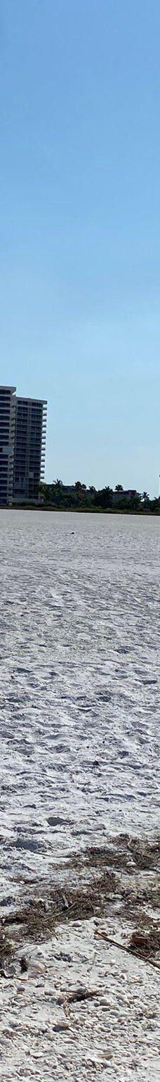 Tigertail Beach-马可岛