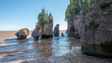 Hopewell Rocks Provincial Park