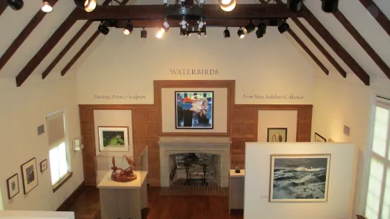 Museum of American Bird Art at Mass Audubon