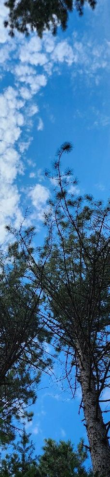 Mikisew Provincial Park-Machar