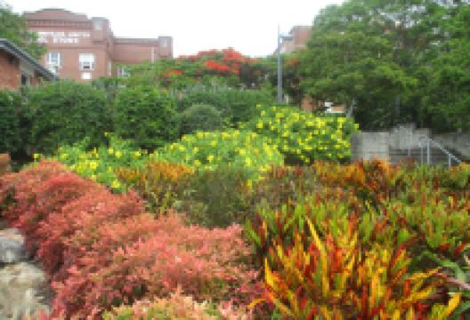 Submariners’ Walk Heritage Trail景点图片