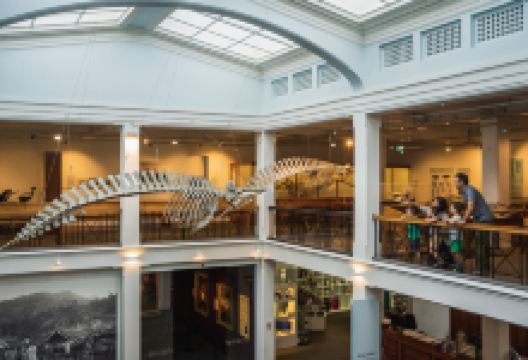 旺格努伊地区博物馆景点图片