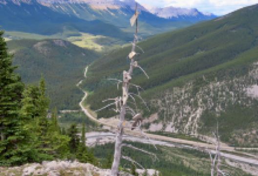 Don Getty Wildland Provincial Park景点图片