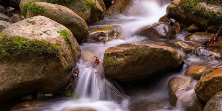 Uvas Canyon County Park