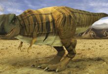 Museu de Zoologia Prof.ª Morgana Cirimbelli Gaidzinki da Unesc景点图片