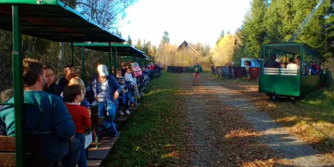 Torfbahn Bad Wurzach