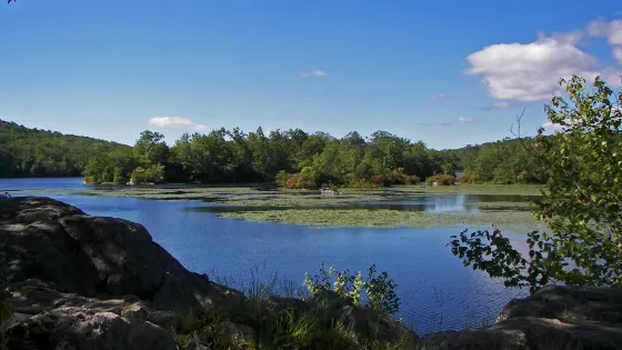 Ramapo Mountain State Forest