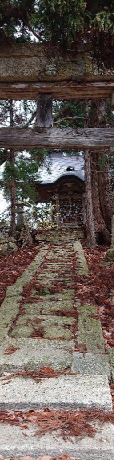 Cat's Shrine-高畠町