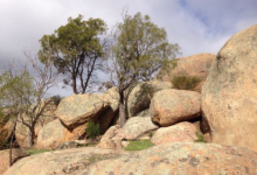Kooyoora State Park景点图片