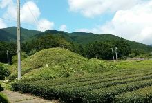 Ikeda no Mori景点图片
