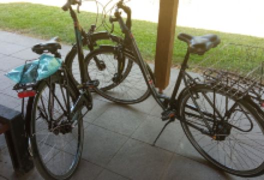 Fun Bike Team购物图片