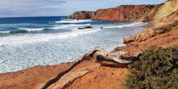 Praia do Amado