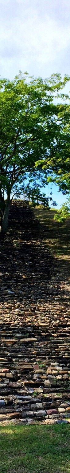 Tamtoc Archaeological Site-圣路易斯波托西州