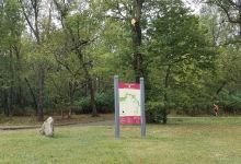 Brezina Woods Park and Preserve景点图片