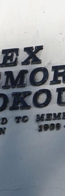 Drummond Apex Lookout-阿米代尔