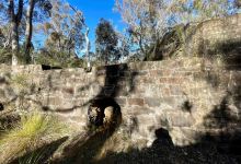 Bald Hill walking track景点图片