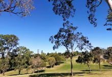 New Farm Park Rose Gardens景点图片