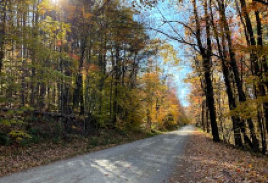 Silver Towers景点图片